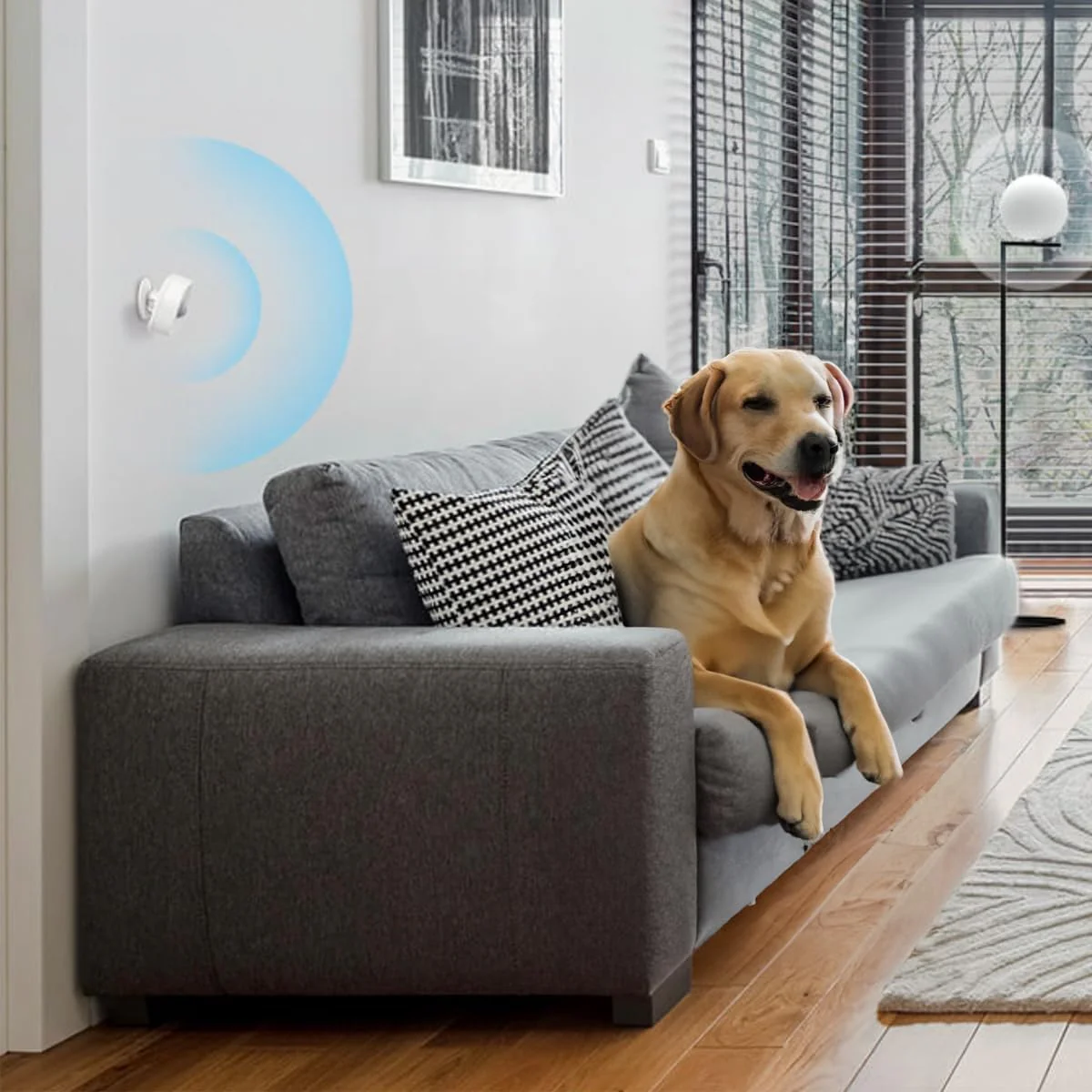 Smart Motion Sensor, Hub Required, Tapo T100 - Image 5